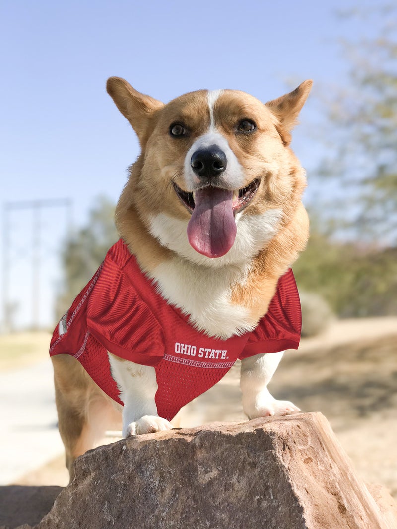 Pets First NCAA College Ohio State Buckeyes Mesh Jersey for DOGS & CATS, XXX-Large. Licensed Dog Jersey with your Favorite Football/Basketball College Team - Image 2